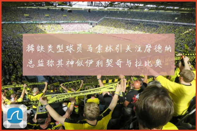 稀缺类型球员马索林引关注摩德纳总监称其神似伊利契奇与拉比奥