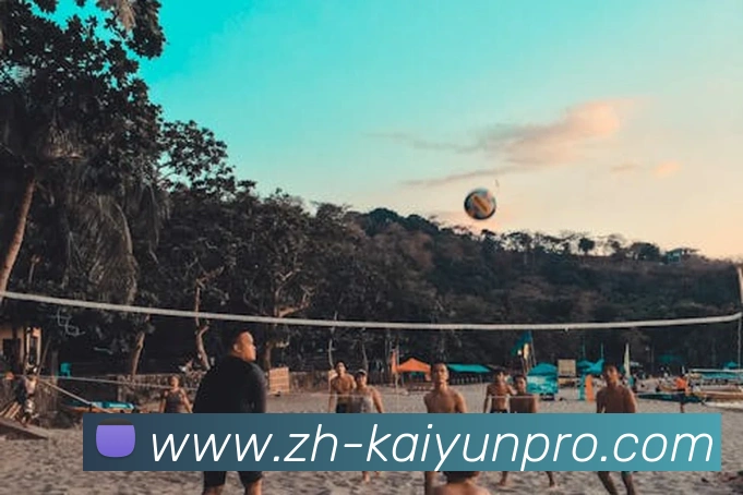 App Interface Preview